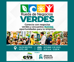 Publicidad Fergoner Virtual Stereo